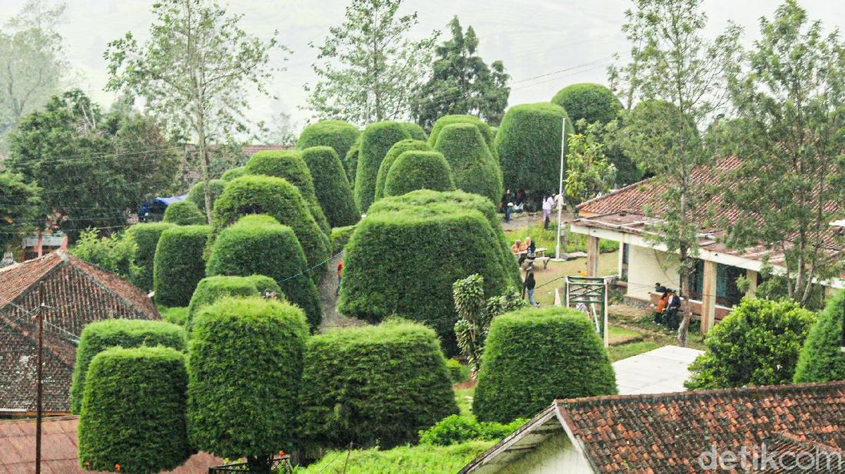 Explore Wisata Bandung Barat - Bukit Jamur Ciwidey