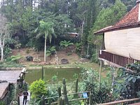 Explore Wisata Bandung Barat - Kopi Luwak Lembang